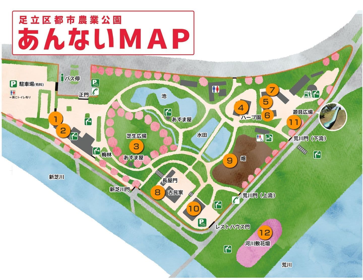 足立 区 都市 農業 公園
