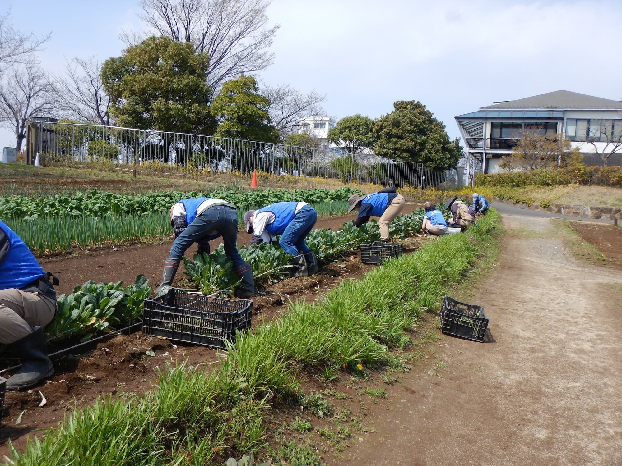 dscn1481.jpg