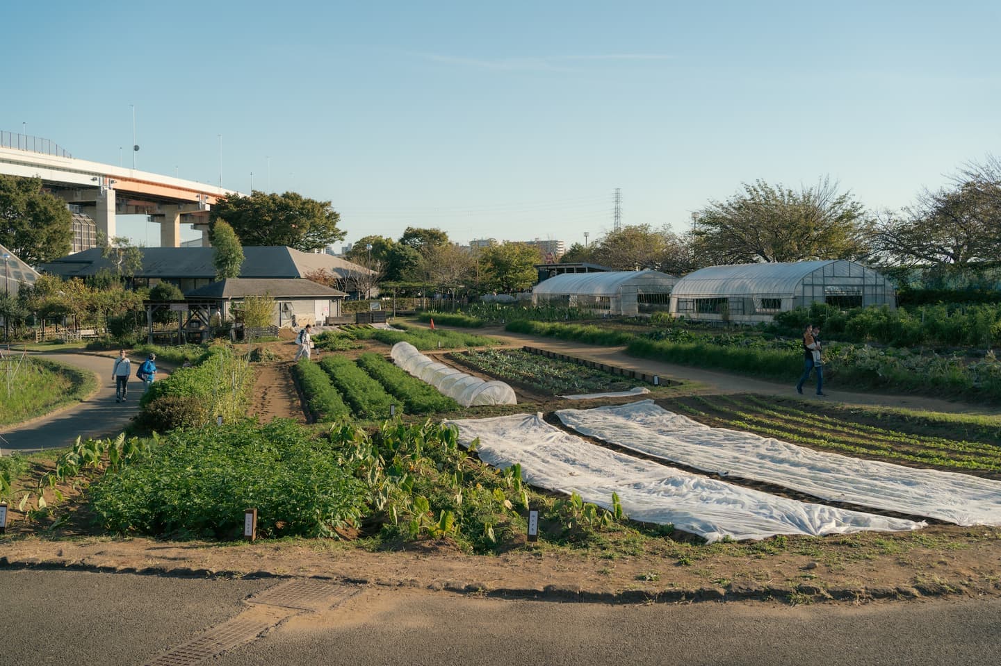 足立 区 都市 農業 公園